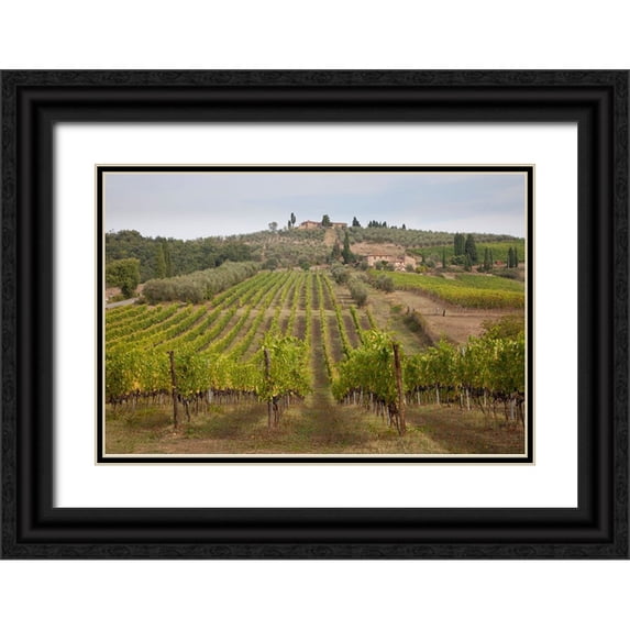 Eggers, Julie 32x23 Black Ornate Wood Framed with Double Matting Museum Art Print Titled - Italy-Tuscany Rows of grape vines in a vineyard in Tuscany
