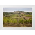 thumbnail image 1 of Eggers, Julie 32x23 White Modern Wood Framed Museum Art Print Titled - Italy-Tuscany Rows of grape vines in a vineyard in Tuscany, 1 of 4