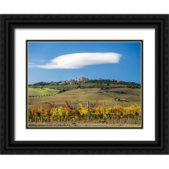 Eggers, Julie 32x25 Black Ornate Wood Framed with Double Matting Museum Art Print Titled - Italy-Tuscany Colorful vineyards in autumn with blue skies and clouds