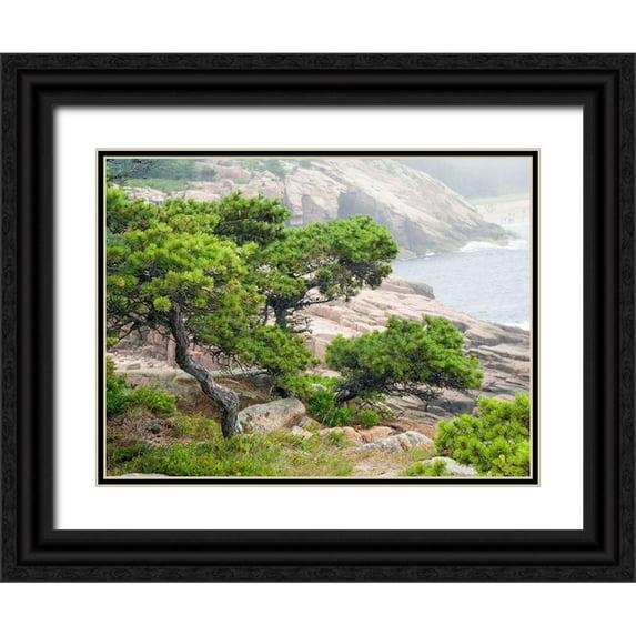 Eggers, Julie 32x25 Black Ornate Wood Framed with Double Matting Museum Art Print Titled - Maine Otter Cliffs and the Atlantic Ocean in Acadia National Park