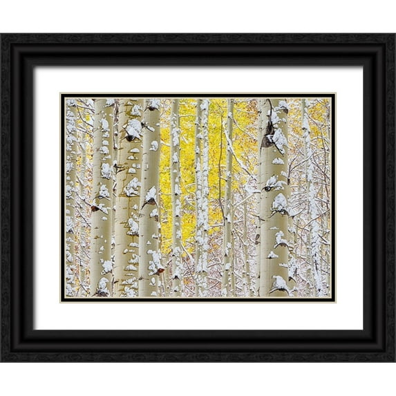 Eggers, Julie 32x25 Black Ornate Wood Framed with Double Matting Museum Art Print Titled - Colorado-San Juan Mts Fresh snow on aspens in the fall