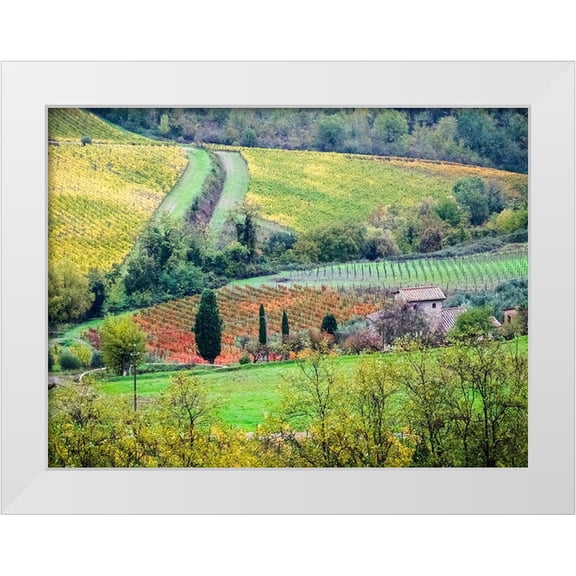 Eggers, Julie 32x25 White Modern Wood Framed Museum Art Print Titled - Italy-Tuscany View of the Tuscan countryside