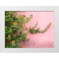 thumbnail image 1 of Eggers, Julie 32x25 White Modern Wood Framed Museum Art Print Titled - Portugal-Obidos-Colorful lantana vine growing against a pink wall, 1 of 4