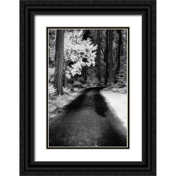 Eggers, Terry 11x14 Black Ornate Wood Framed with Double Matting Museum Art Print Titled - USA-Washington State-Skagit Valley-Country backroad through forest