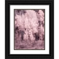 thumbnail image 1 of Eggers, Terry 12x14 Black Ornate Wood Framed with Double Matting Museum Art Print Titled - USA-Utah-Aspen Grove in infrared of the Logan Pass area, 1 of 4