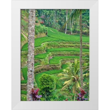 Eggers, Terry 12x14 White Modern Wood Framed Museum Art Print Titled - Indonesia-Bali-Ubud-Tegallalang Rice Terraces near Ubud