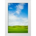 thumbnail image 1 of Eggers, Terry 13x18 White Modern Wood Framed Museum Art Print Titled - USA-Washington State-Palouse Region-Patterns in the fields of fresh green Spring wheat, 1 of 4