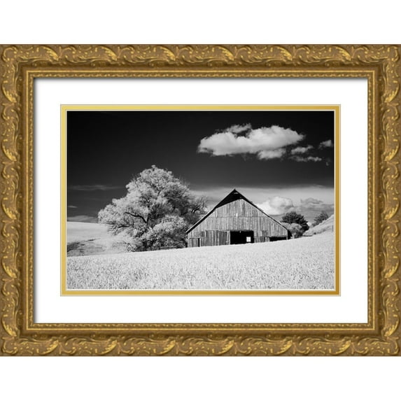 Eggers, Terry 14x11 Gold Ornate Wood Framed with Double Matting Museum Art Print Titled - USA-Palouse Country-Washington State-Infrared Palouse fields and barn