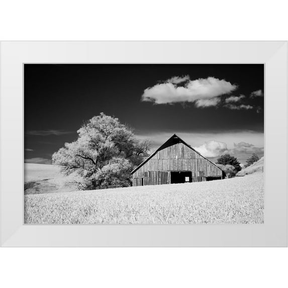 Eggers, Terry 14x11 White Modern Wood Framed Museum Art Print Titled - USA-Palouse Country-Washington State-Infrared Palouse fields and barn