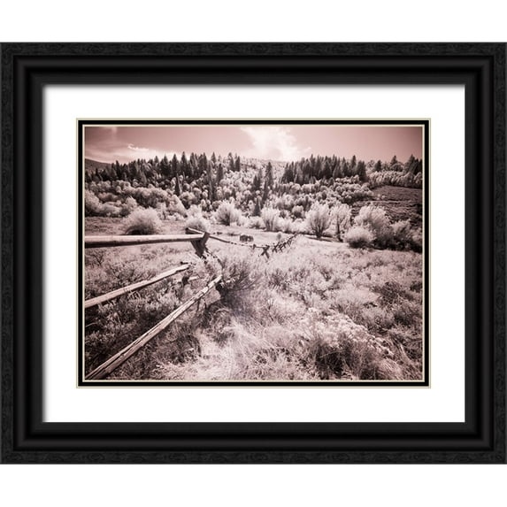 Eggers, Terry 14x12 Black Ornate Wood Framed with Double Matting Museum Art Print Titled - USA-Utah-Infrared of the Logan Pass area with long rail fence