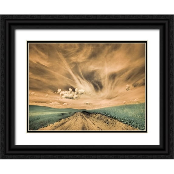 Eggers, Terry 14x12 Black Ornate Wood Framed with Double Matting Museum Art Print Titled - USA-Washington State-Palouse-Backcountry road through canola field and clouds