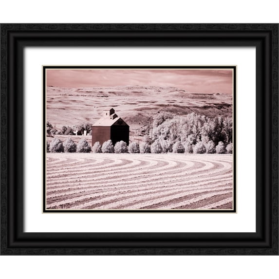 Eggers, Terry 14x12 Black Ornate Wood Framed with Double Matting Museum Art Print Titled - USA-Washington State-Palouse-Harvest lies in field with barn