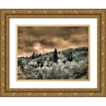 thumbnail image 1 of Eggers, Terry 14x12 Gold Ornate Wood Framed with Double Matting Museum Art Print Titled - USA-Utah-Aspen Grove in infrared of the Logan Pass area, 1 of 4