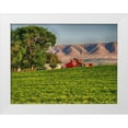 thumbnail image 1 of Eggers, Terry 14x12 White Modern Wood Framed Museum Art Print Titled - Evening light on red barn, 1 of 4