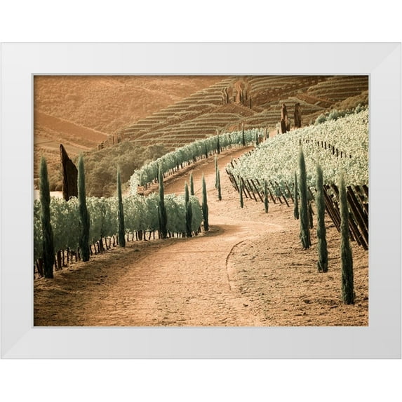 Eggers, Terry 14x12 White Modern Wood Framed Museum Art Print Titled - Portugal-Douro Valley-Backcountry road through the vineyards