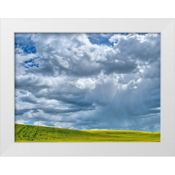 Eggers, Terry 14x12 White Modern Wood Framed Museum Art Print Titled - USA-Washington State-Palouse-Spring canola field with beautiful clouds