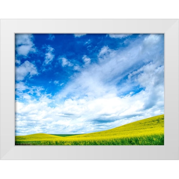 Eggers, Terry 14x12 White Modern Wood Framed Museum Art Print Titled - USA-Washington State-Palouse-Spring canola field with beautiful clouds