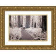 thumbnail image 1 of Eggers, Terry 18x13 Gold Ornate Wood Framed with Double Matting Museum Art Print Titled - California Redwood National Park-infrared of Redwood forest along hiking trail, 1 of 4