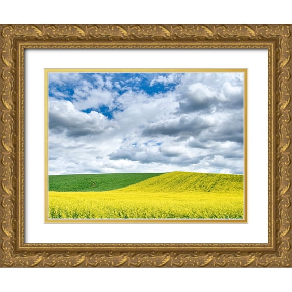 Eggers, Terry 18x14 Gold Ornate Wood Framed with Double Matting Museum Art Print Titled - USA-Washington State-Palouse-Rolling hills of canola and wheat