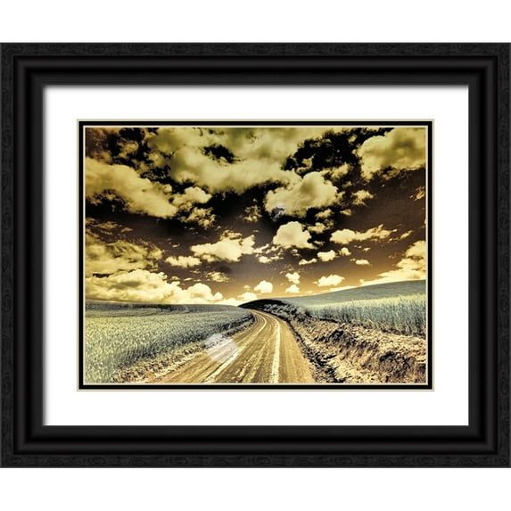 Eggers, Terry 18x15 Black Ornate Wood Framed with Double Matting Museum Art Print Titled - USA-Washington State-Palouse-Country backroad through spring crops
