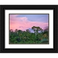 thumbnail image 1 of Eggers, Terry 18x15 Black Ornate Wood Framed with Double Matting Museum Art Print Titled - Indonesia-Bali-Ubud-Sunrise in the rainforest, 1 of 4
