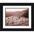 thumbnail image 1 of Eggers, Terry 18x15 Black Ornate Wood Framed with Double Matting Museum Art Print Titled - Portugal-Douro Valley-Vineyards draping the hills, 1 of 4