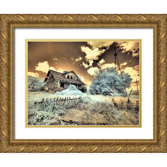 Eggers, Terry 18x15 Gold Ornate Wood Framed with Double Matting Museum Art Print Titled - USA-Washington State-Palouse-Abandoned old homestead