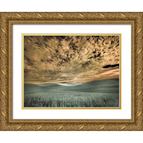 Eggers, Terry 18x15 Gold Ornate Wood Framed with Double Matting Museum Art Print Titled - USA-Washington State-Palouse-wheat field and clouds