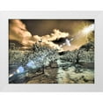thumbnail image 1 of Eggers, Terry 18x15 White Modern Wood Framed Museum Art Print Titled - USA-Oregon-Columbia Gorge Infrared of light reflecting in spring apple orchard, 1 of 4