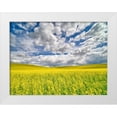 thumbnail image 1 of Eggers, Terry 18x15 White Modern Wood Framed Museum Art Print Titled - USA-Washington State-Palouse-Spring canola field with beautiful clouds, 1 of 4