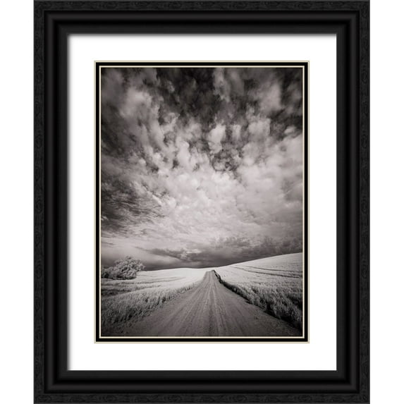 Eggers, Terry 19x24 Black Ornate Wood Framed with Double Matting Museum Art Print Titled - USA-Washington State-Palouse-Backcountry road through wheat field and clouds