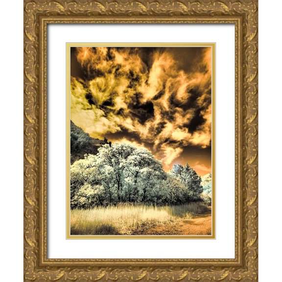 Eggers, Terry 19x24 Gold Ornate Wood Framed with Double Matting Museum Art Print Titled - USA-Utah-Infrared of the Logan Pass area and lone tree