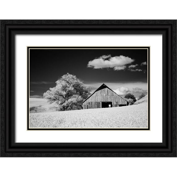 Eggers, Terry 24x17 Black Ornate Wood Framed with Double Matting Museum Art Print Titled - USA-Palouse Country-Washington State-Infrared Palouse fields and barn