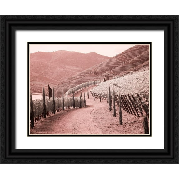 Eggers, Terry 24x19 Black Ornate Wood Framed with Double Matting Museum Art Print Titled - Portugal-Douro Valley-Backcountry road through the vineyards
