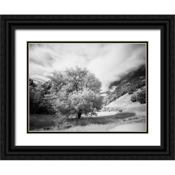 Eggers, Terry 24x19 Black Ornate Wood Framed with Double Matting Museum Art Print Titled - USA-Utah-Infrared of the Logan Pass area and lone tree