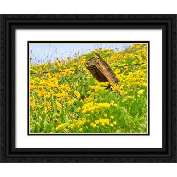 Eggers, Terry 24x19 Black Ornate Wood Framed with Double Matting Museum Art Print Titled - USA-Washington State Fence line and wildflowers
