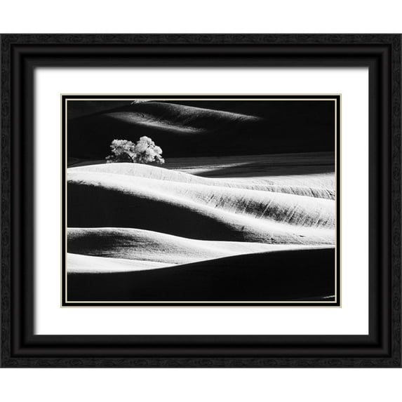 Eggers, Terry 24x19 Black Ornate Wood Framed with Double Matting Museum Art Print Titled - USA-Washington State-Palouse region-Lone tree in Field