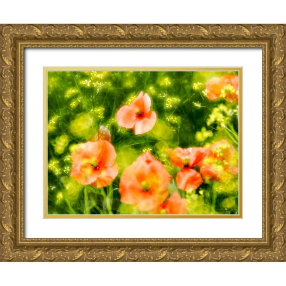 Eggers, Terry 24x19 Gold Ornate Wood Framed with Double Matting Museum Art Print Titled - USA-Washington State-Spring Fire Poppies