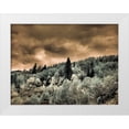 thumbnail image 1 of Eggers, Terry 24x19 White Modern Wood Framed Museum Art Print Titled - USA-Utah-Aspen Grove in infrared of the Logan Pass area, 1 of 4