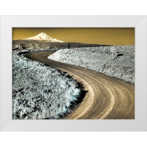 Eggers, Terry 24x19 White Modern Wood Framed Museum Art Print Titled - USA-Washington State Infrared capture of road running though wildflowers with Mount Hood background