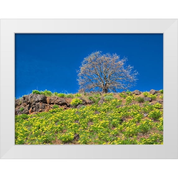 Eggers, Terry 24x19 White Modern Wood Framed Museum Art Print Titled - USA-Washington State Lone Tree on hillside with spring wildflowers