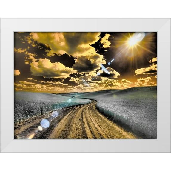Eggers, Terry 24x19 White Modern Wood Framed Museum Art Print Titled - USA-Washington State-Palouse-Country backroad through spring crops