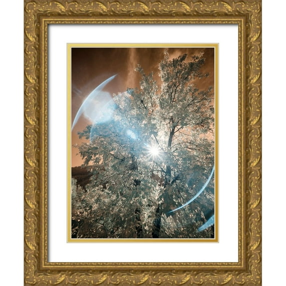 Eggers, Terry 25x32 Gold Ornate Wood Framed with Double Matting Museum Art Print Titled - USA-Utah-Infrared of the Logan Pass area