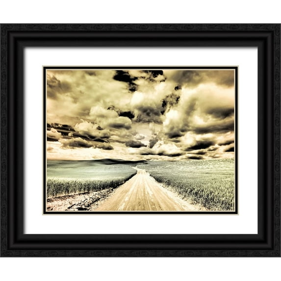 Eggers, Terry 32x25 Black Ornate Wood Framed with Double Matting Museum Art Print Titled - USA-Washington State-Palouse-Country backroad through spring crops