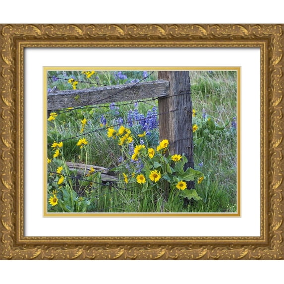 Eggers, Terry 32x25 Gold Ornate Wood Framed with Double Matting Museum Art Print Titled - USA-Washington State Fence line with spring wildflowers