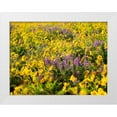 thumbnail image 1 of Eggers, Terry 32x25 White Modern Wood Framed Museum Art Print Titled - USA-Washington State Arrowleaf balsamroot and lupine, 1 of 4