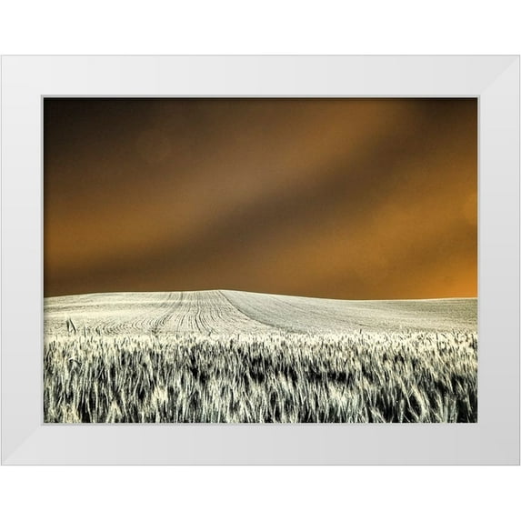 Eggers, Terry 32x25 White Modern Wood Framed Museum Art Print Titled - USA-Washington State-Palouse region-Rolling Hills of wheat
