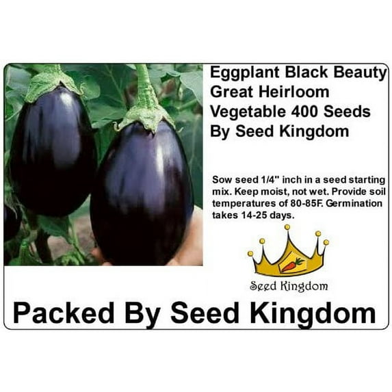 Eggplant Black Beauty Great Heirloom Vegetable 400 Seeds By Seed Kingdom