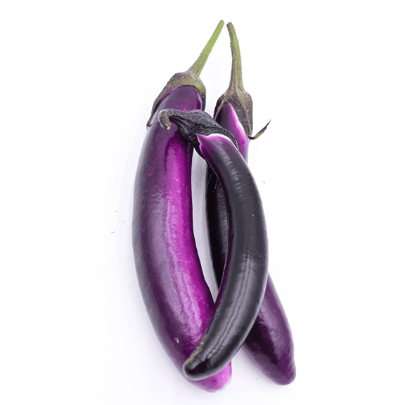 Eggplant Plant Live Vegetable Plant – 3–5 Inch