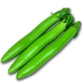 thumbnail image 1 of Eggplant Seeds - Choryoku - Hybrid - 1 Oz ~6250 Seeds - Non-GMO, F1 Hybrid - Asian Garden Vegetable, 1 of 1